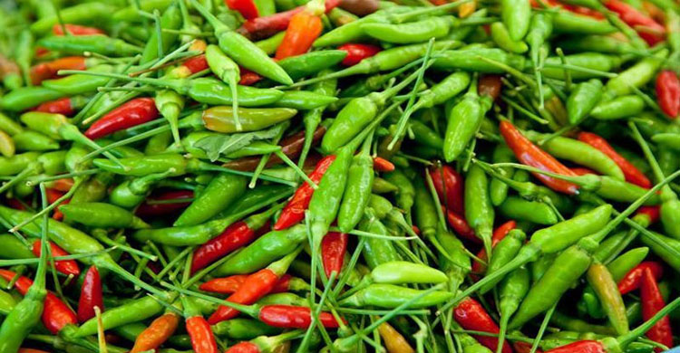 মরিচের দাম বৃদ্ধি
