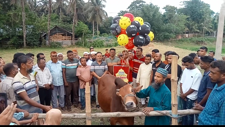 রূপসার হাতেমতলায় অস্থায়ী কুরবানীর পশুর হাটের উদ্বোধন