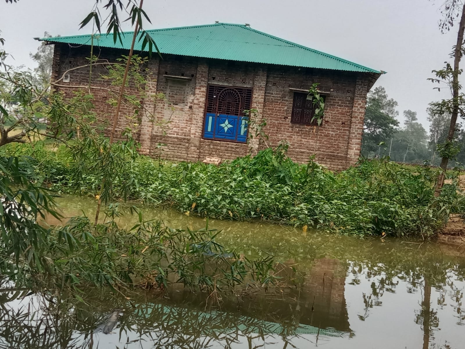 বদরগঞ্জে বসতবাড়ি যাতায়াতের রাস্তা বন্ধ করে দেওয়ার অভিযোগ এক নারীর বিরুদ্ধে।