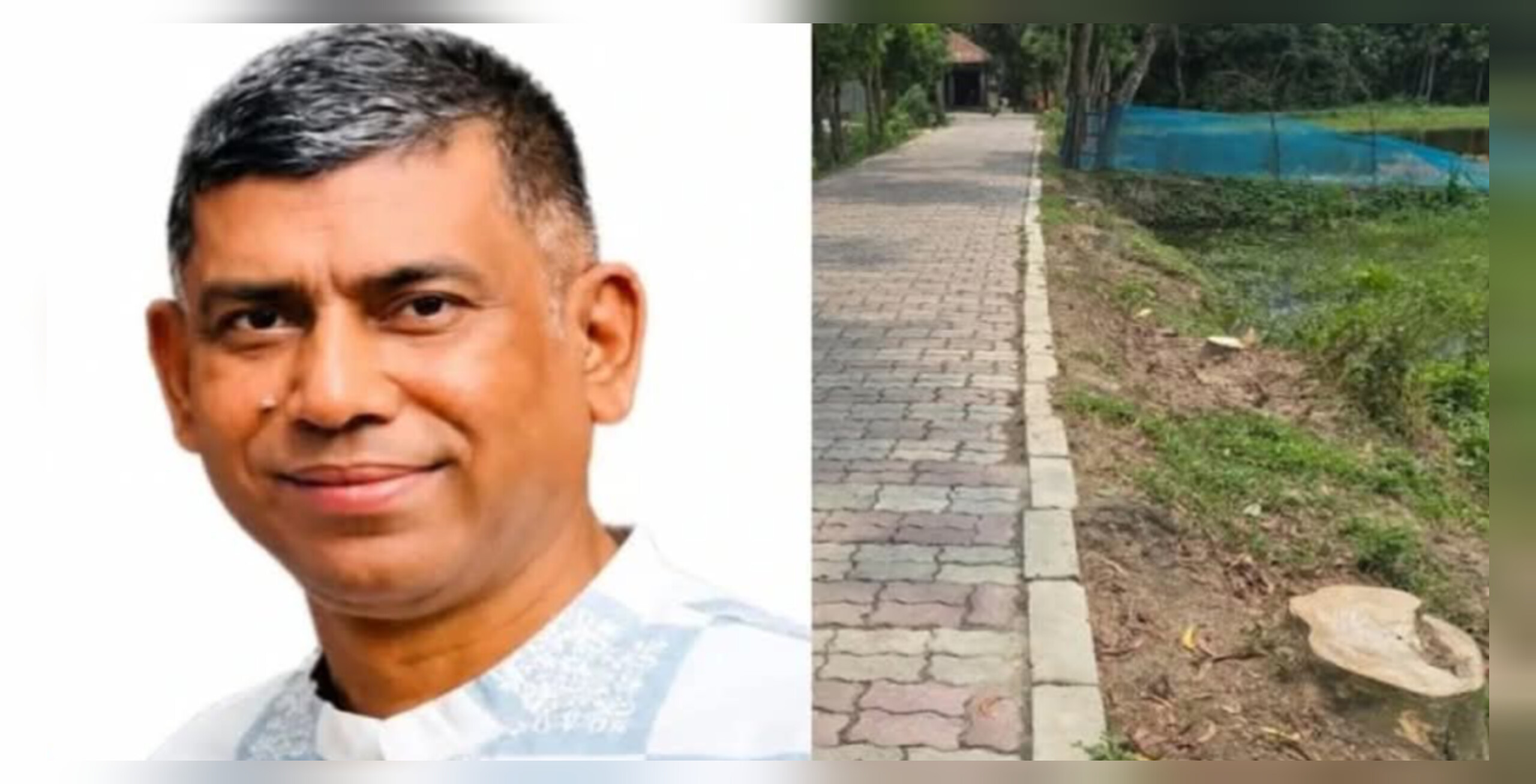 শাহরাস্তিতে বিএনপি নেতা সেলিমের বিরুদ্ধে ১০ সরকারি গাছ কাটার অভিযোগ