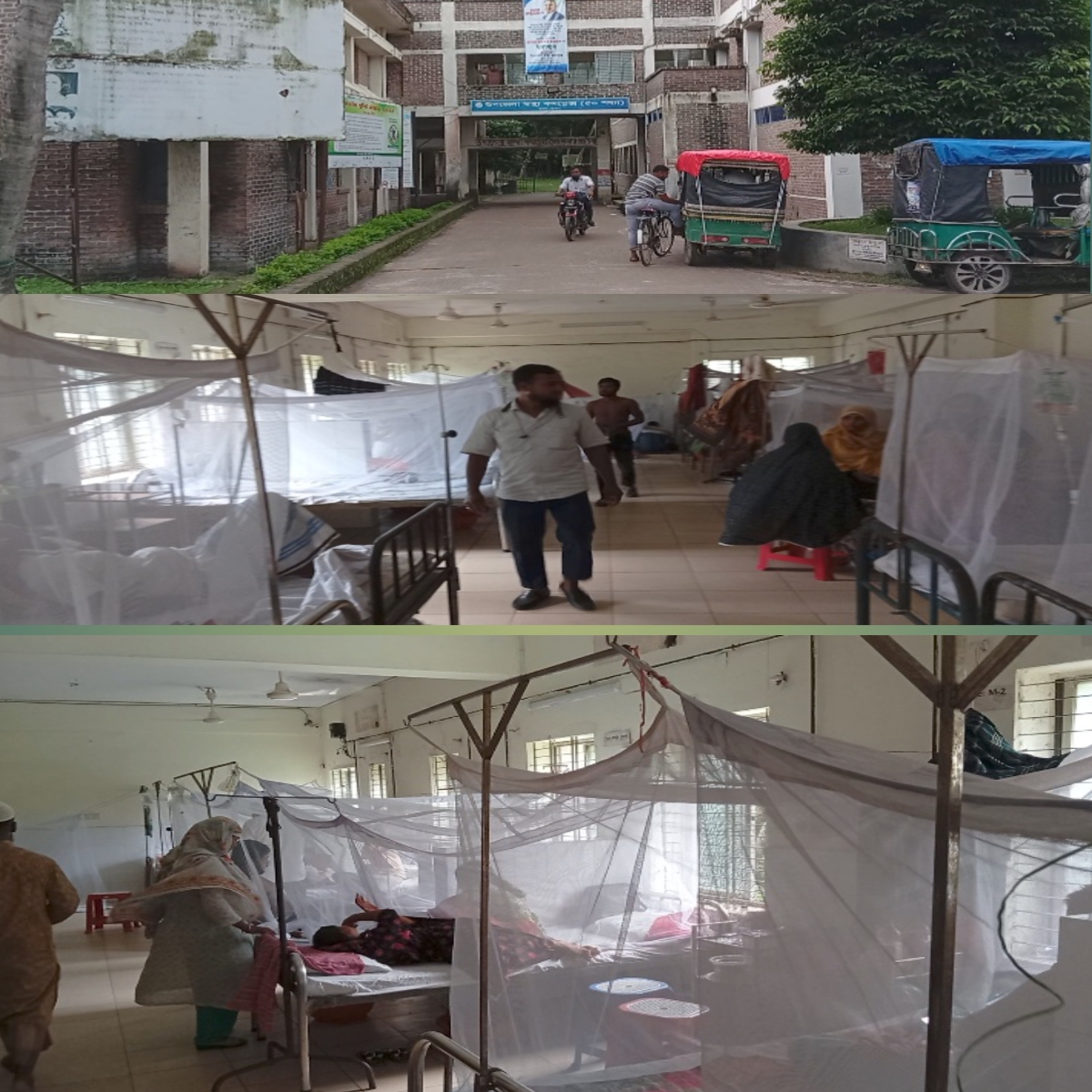 রূপসায় হাসপাতালে প্রতিদিনই বাড়ছে ডেঙ্গু রুগীর সংখ্যা বেড না পেয়ে ফ্লোরে চিকিৎসা নিচ্ছেন রোগীরা