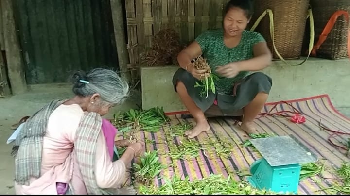 কাপ্তাইয়ে ধনিয়া চাষে কৃষকের ঘাম, খরচের তুলনায় মিলছে না কাঙ্ক্ষিত লাভ
